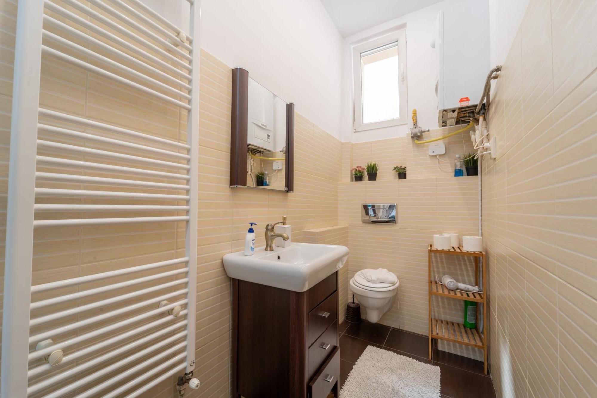 Cozy Spacious 5 Star Accommodation In The Heart Of Historic Center Cluj-Napoca Exteriör bild